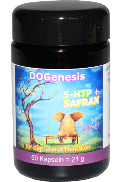 5 – HTP + Safran (Robert Franz)