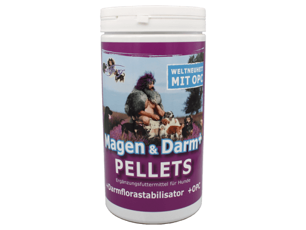 Magen & Darm Pellets (Robert Franz)