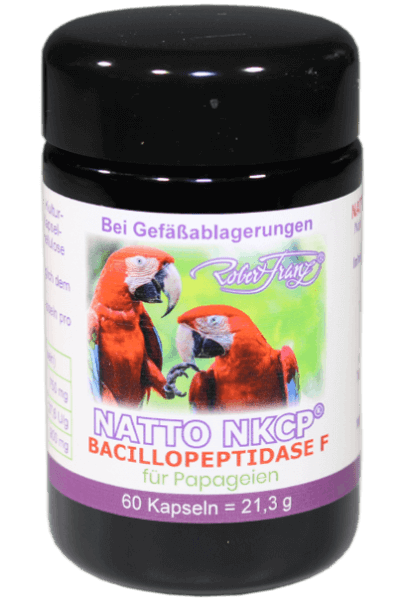 Natto-NKCP (Robert Franz)