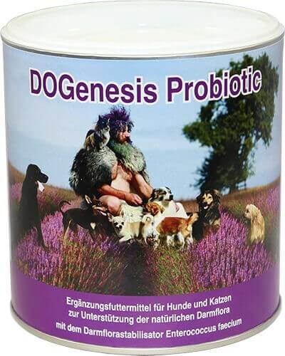 Probiotic (30 Sticks 2.5 g) (Robert Franz)